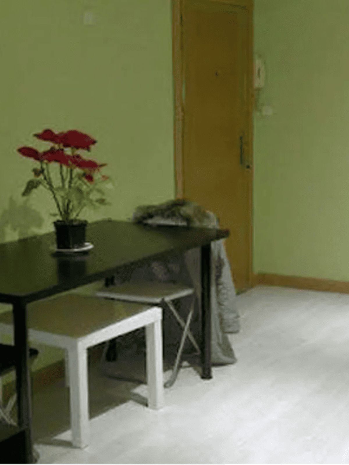 Alquiler de piso en Calle de Navalmoral de la Mata, Águilas.