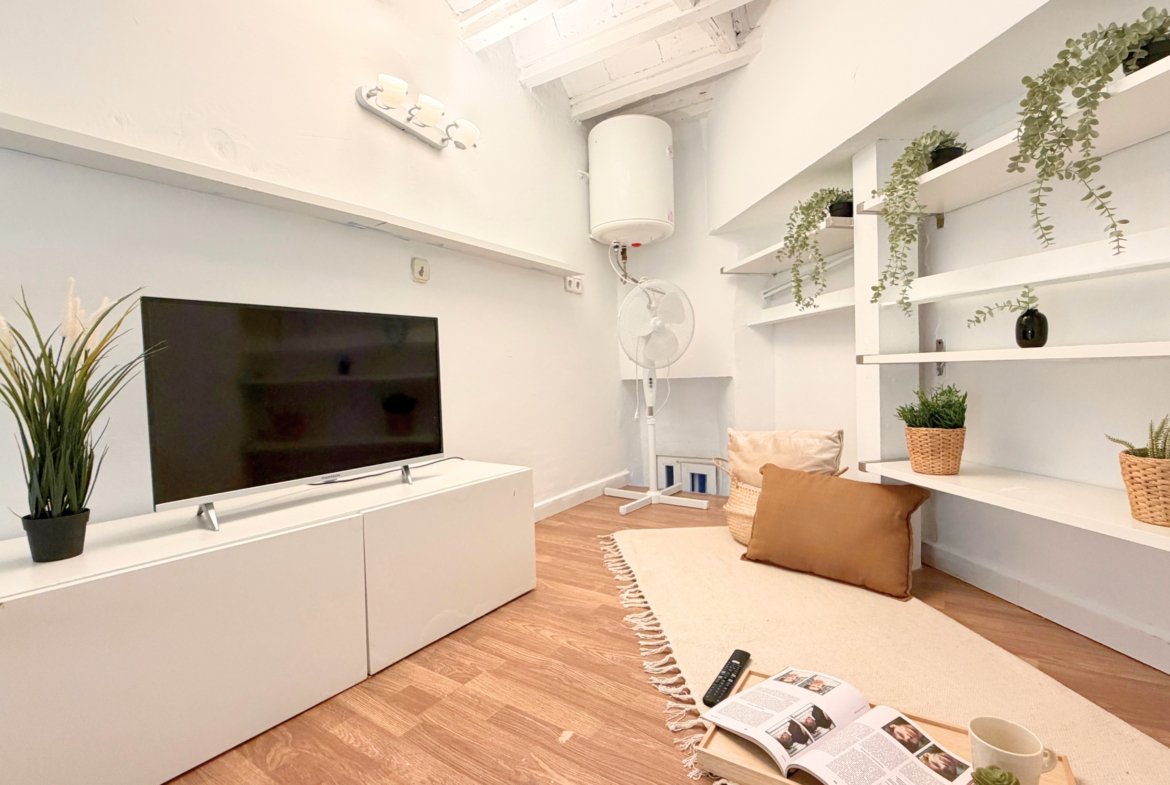 Estudio en alquiler en Calle Salitre, Lavapiés.