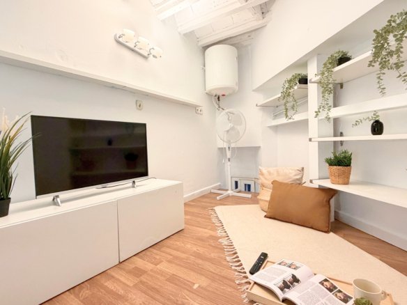 Estudio en alquiler en Calle Salitre, Lavapiés.